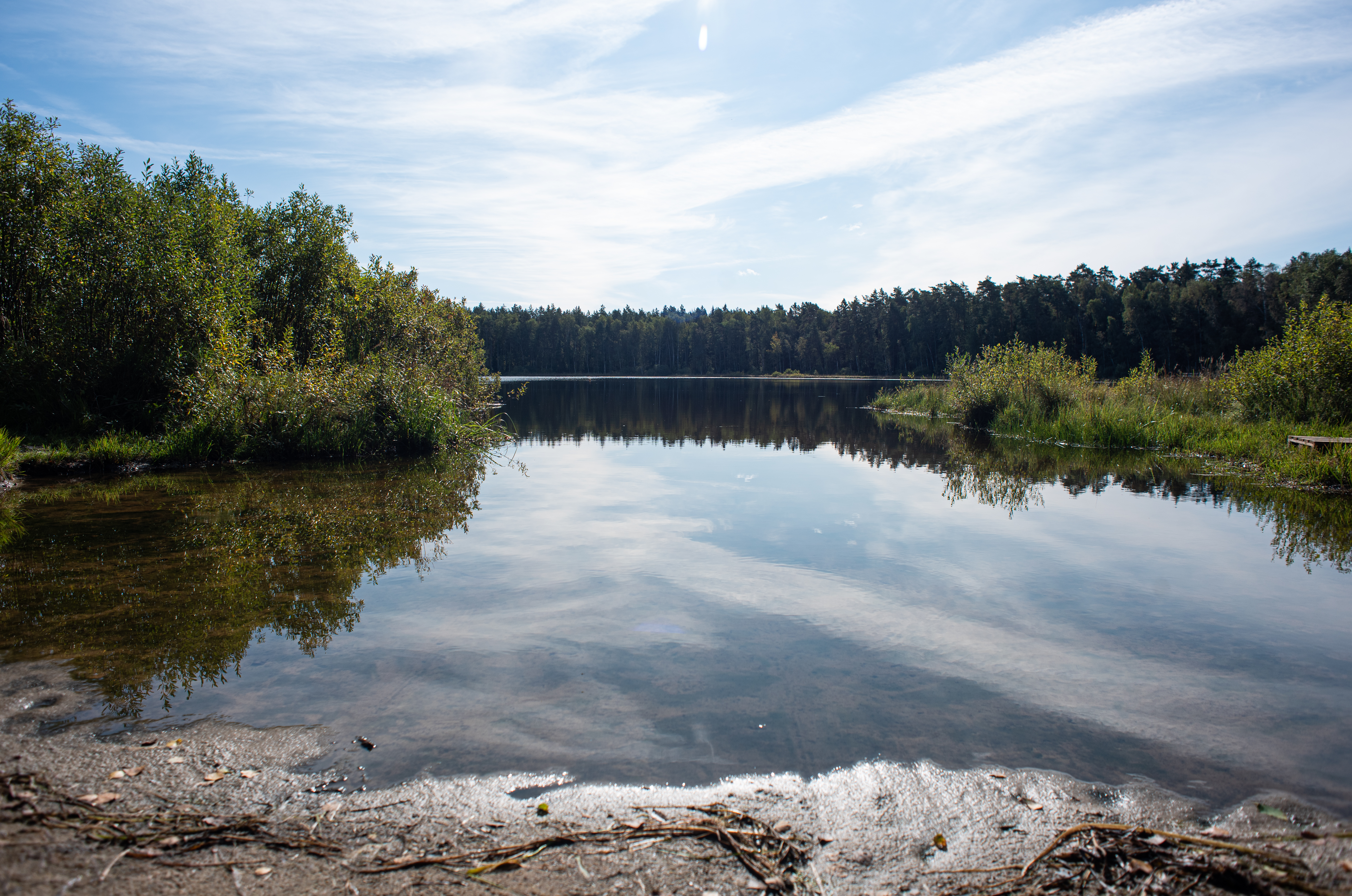 Черное озеро в Щелкове