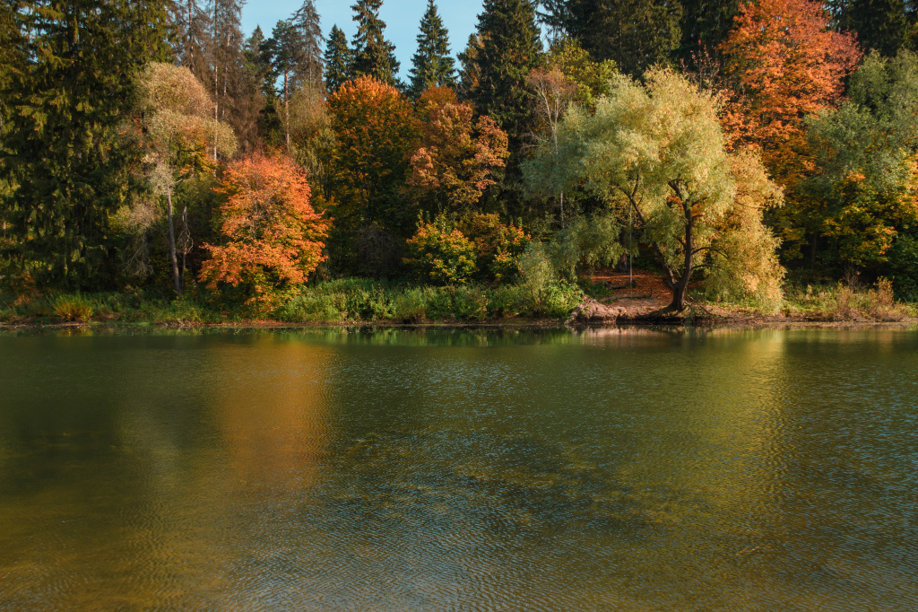 Осенние виды Одинцовского парка культуры, спорта и отдыха 