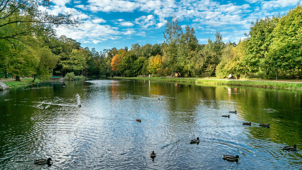Городской парк в красногорске - Фото