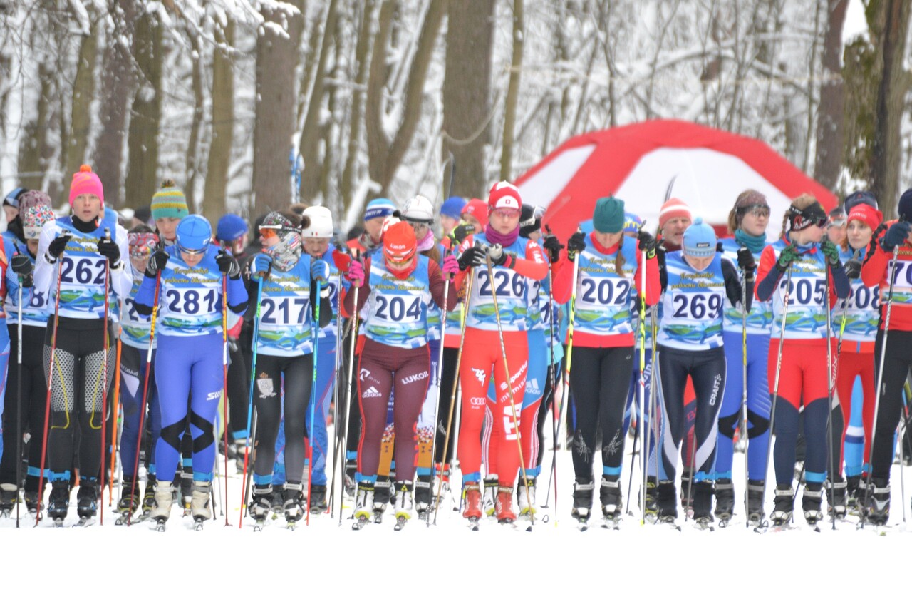 Лыжный клуб «Волкуша» создан для проведения лыжных и кроссовых соревнований