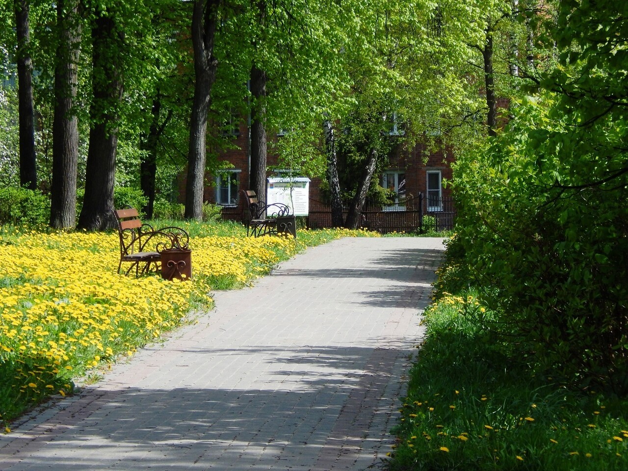 Городской парк культуры и отдыха Павловского Посада | Путеводитель  Подмосковья