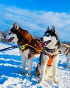 Парк отдыха «Зооферма Шихово»