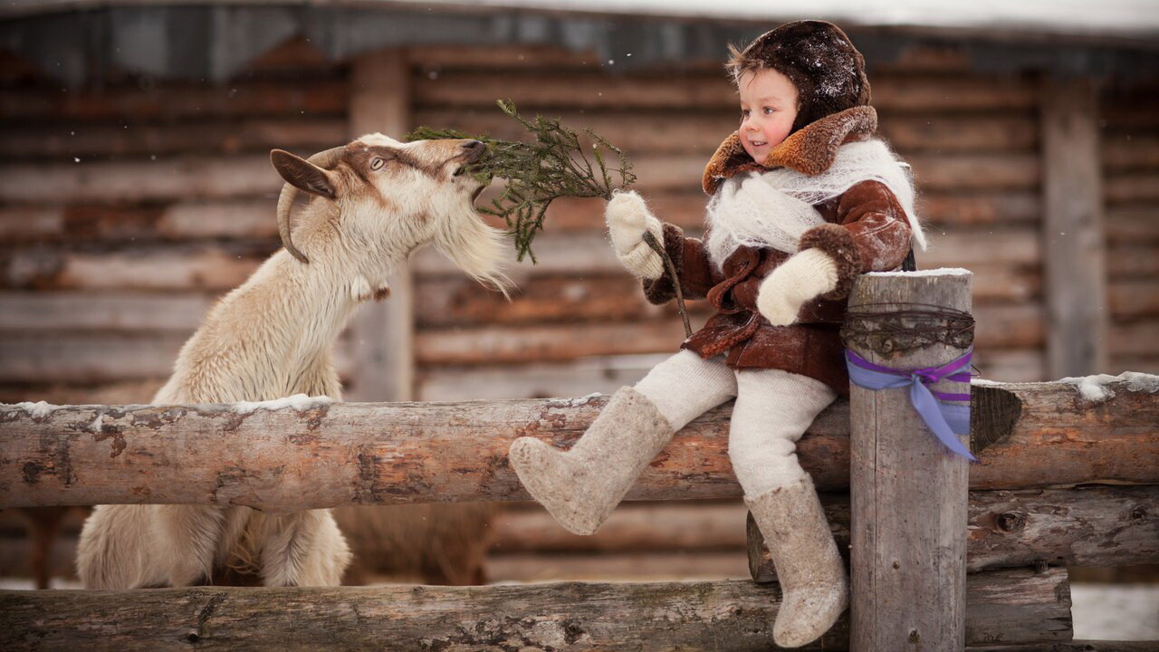 Топ мест для зимнего путешествия с детьми в Подмосковье: этнопарк, фабрика пастилы и музей техники
