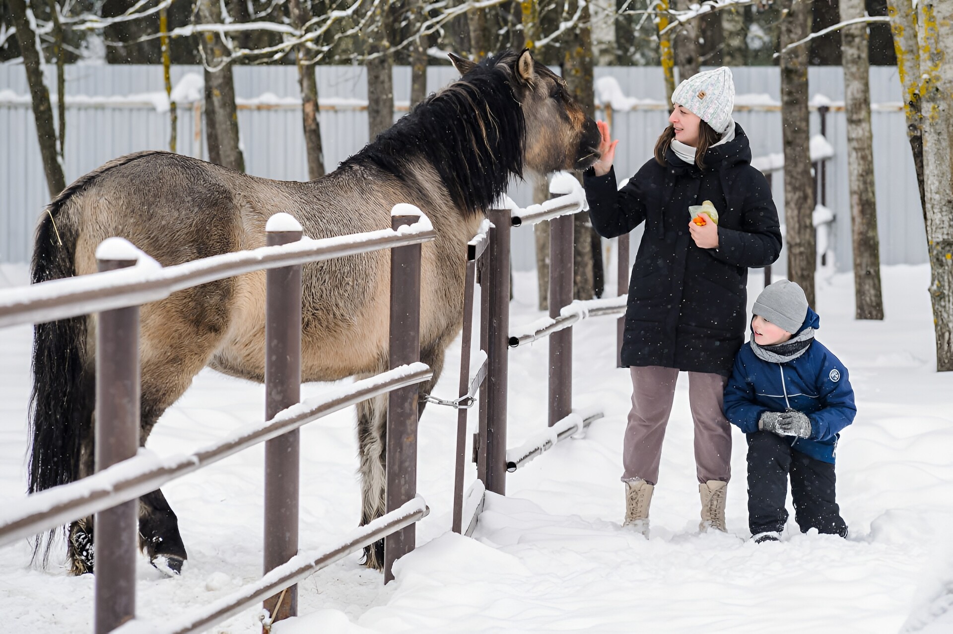 Достопримечательности Орехово-Зуевского округа: что посмотреть и куда сходить с детьми