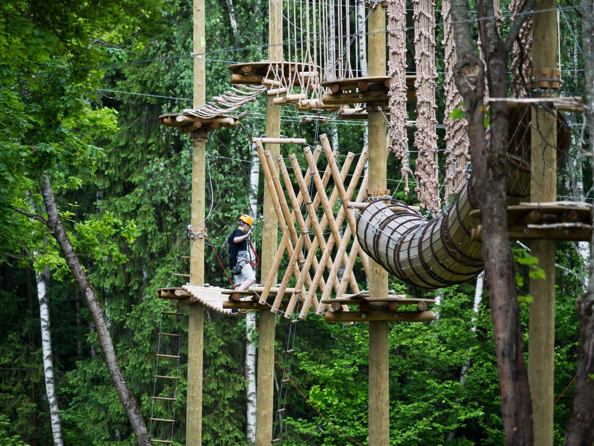 Топ-12 веревочных парков Подмосковья: трассы среди деревьев для детей и взрослых