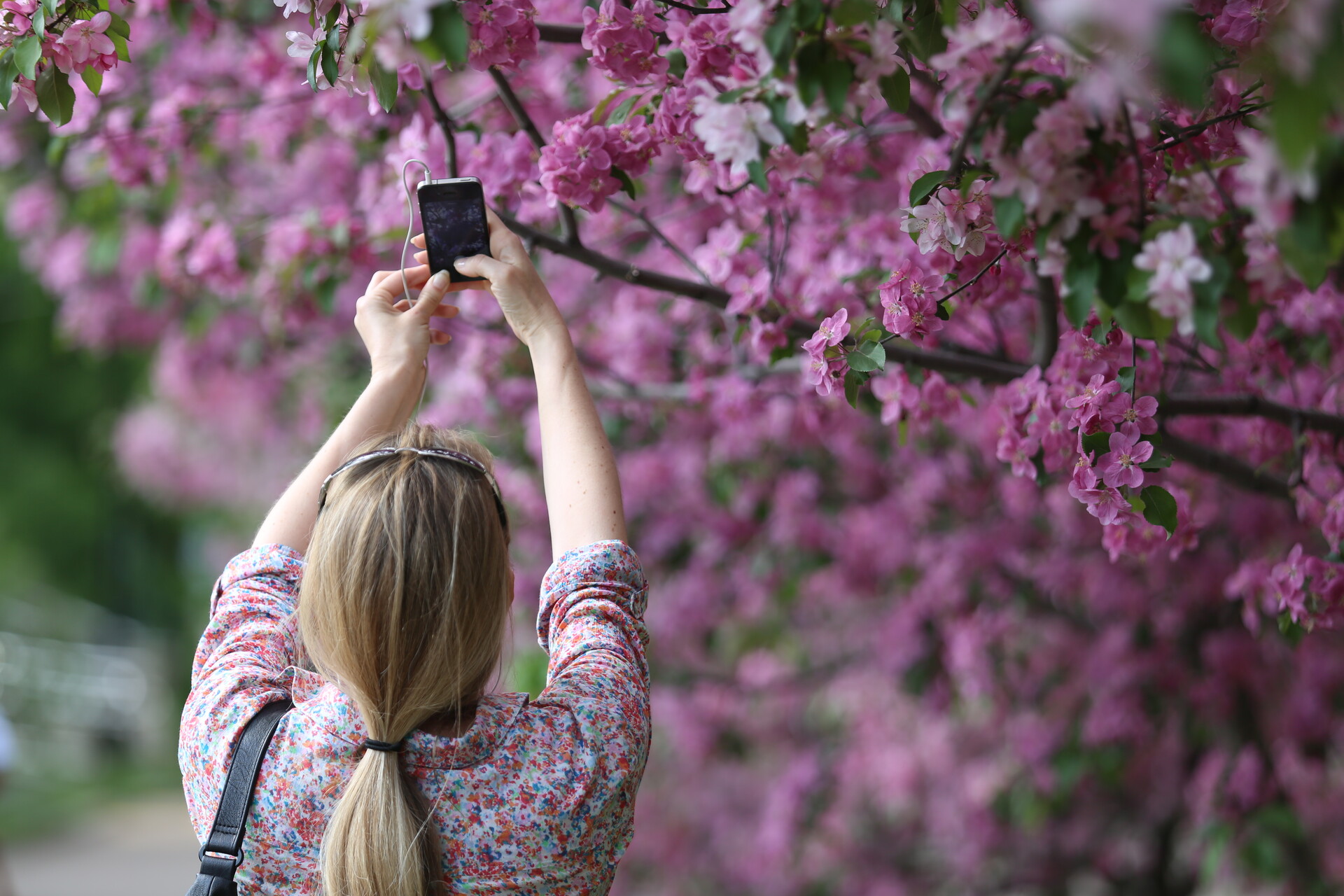 Цветущие сады Подмосковья: лучшие места для фотосессий весной