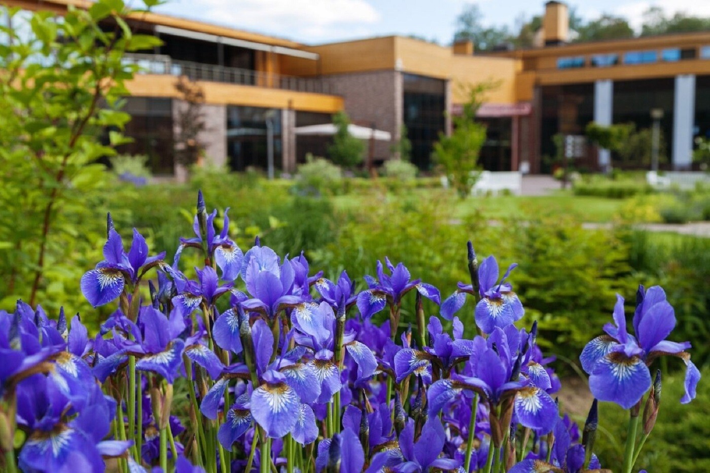 Топ-30 подмосковных отелей для поездки на майские праздники: отдых на природе, спа и барбекю