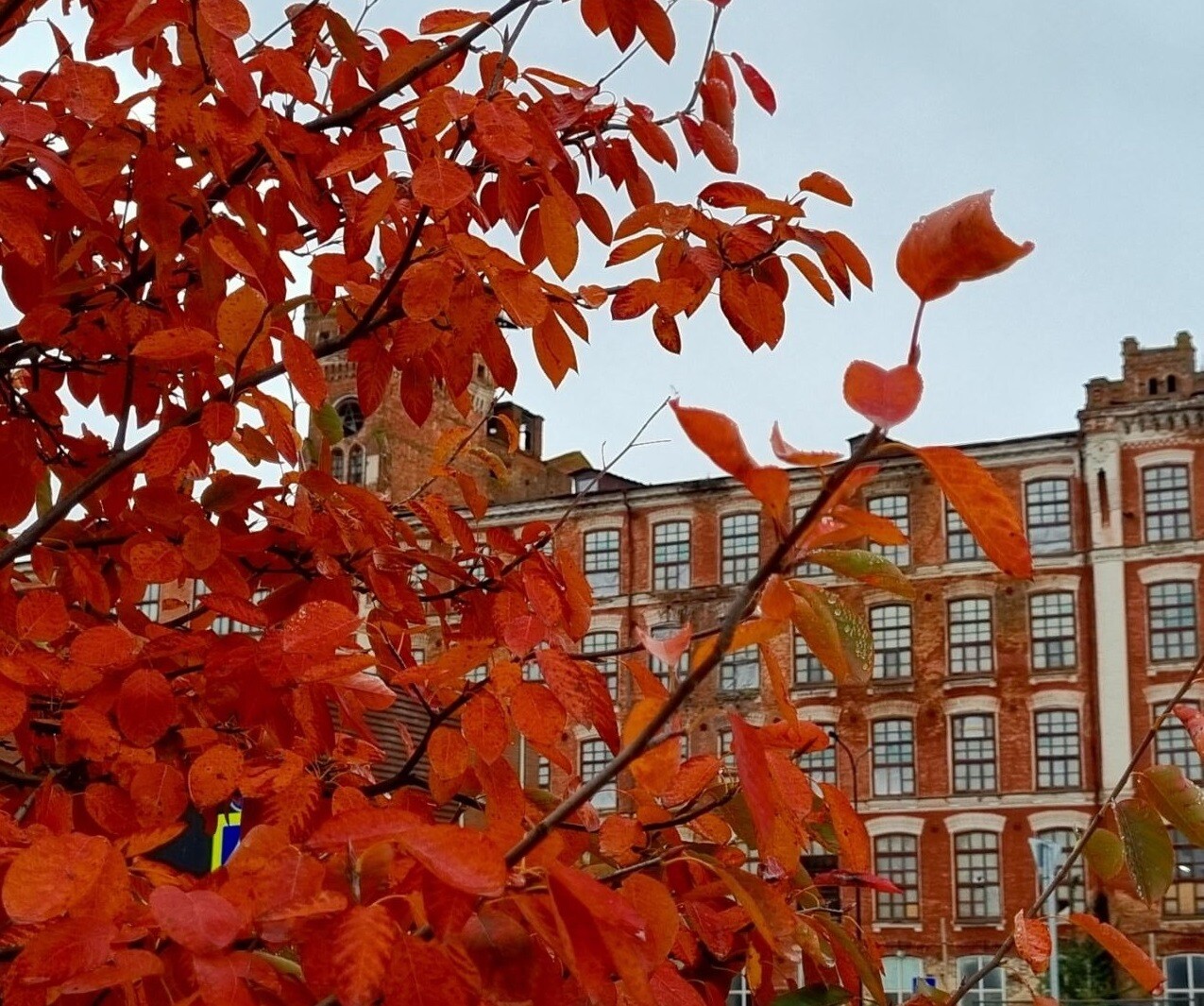 Достопримечательности Наро-Фоминска: старинные церкви, краеведческие музеи и живописная природа