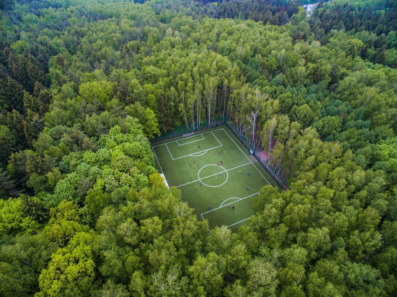 Где поиграть в футбол и волейбол в Подмосковье: пляжи, парки и базы отдыха
