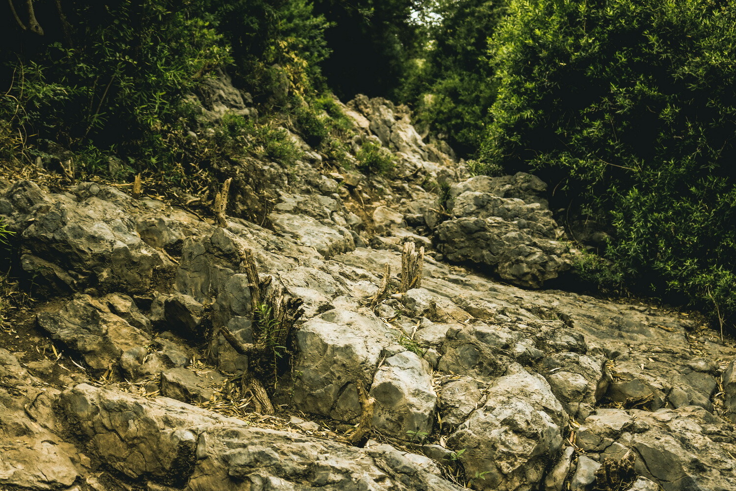 Скалы Подмосковья: сказочные ландшафты для прогулок и фотосессий