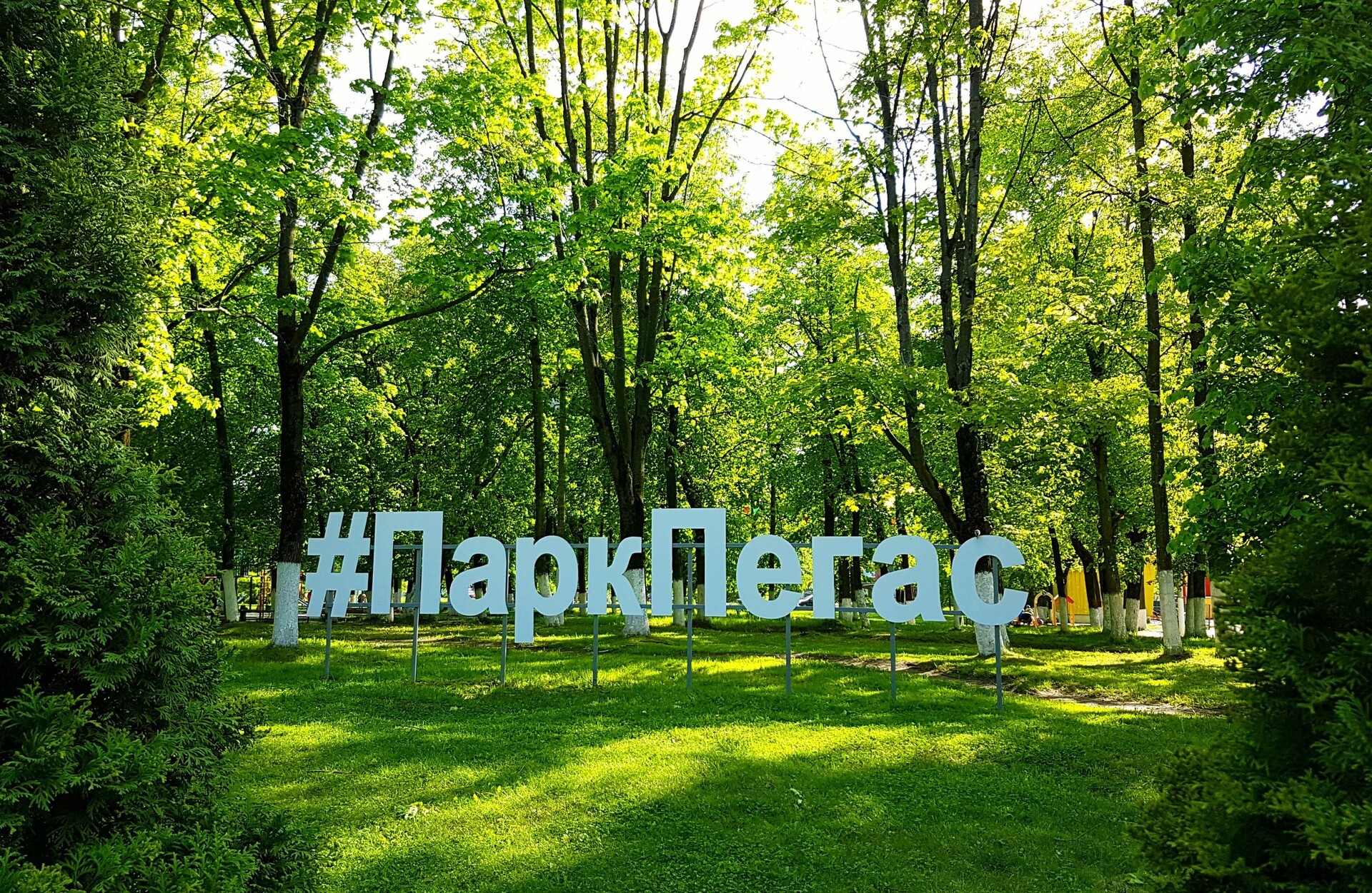 Егорьевск парк пегас