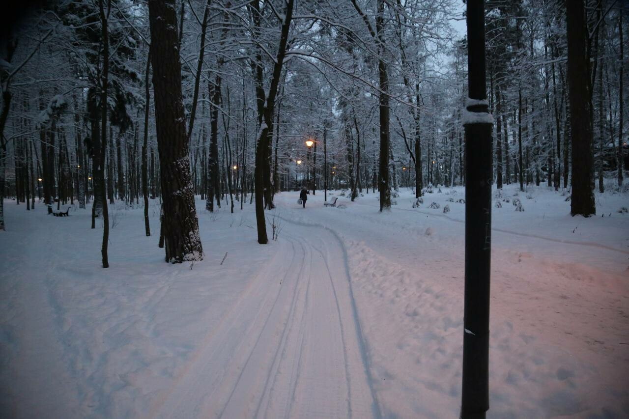 Наташинский парк Люберцы зимой