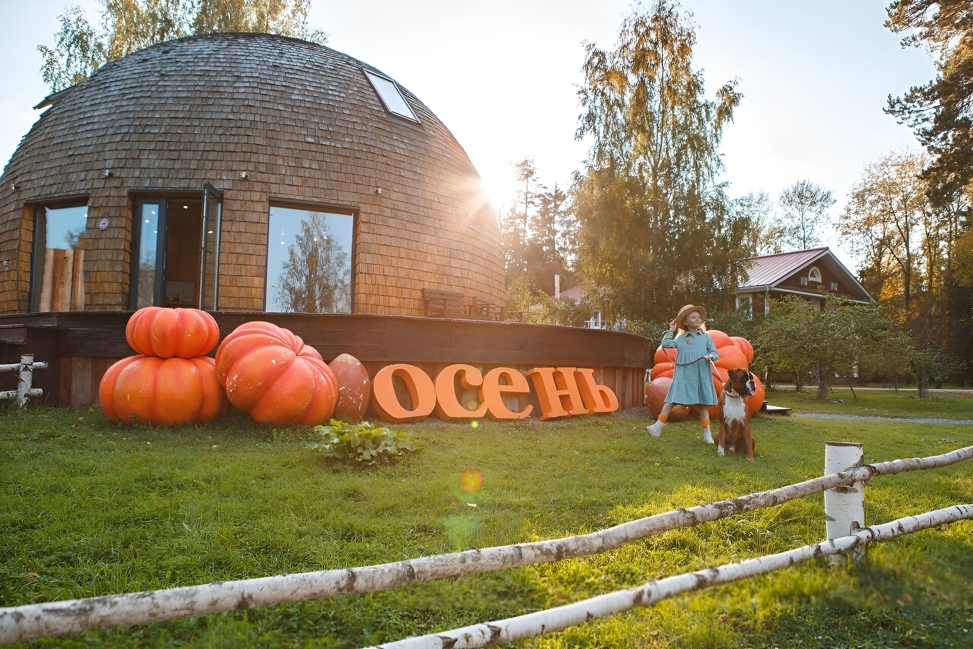 Чем заняться осенью в Подмосковье: прогулки в парках, активный отдых и спа
