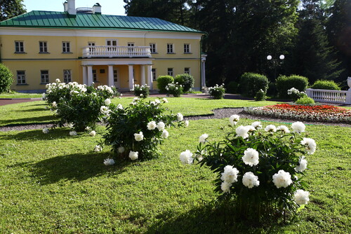 В музее-заповеднике «Горки Ленинские» представят новый экомаршрут «Цветы и травы»