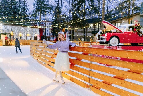 Дни зимних видов спорта и русских забав проведут в парках Подмосковья