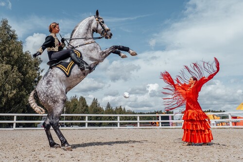 Крупнейший конный фестиваль России пройдет в июле в Подмосковье 