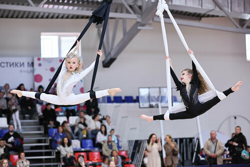 Всероссийский цирковой фестиваль пройдет в Подмосковье