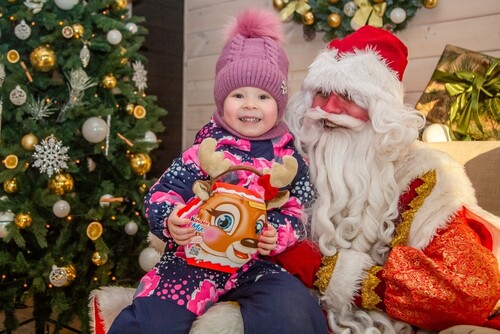Подмосковные парки приглашают отпраздновать день рождения Деда Мороза