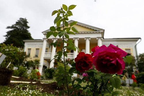 В музее-заповеднике «Горки Ленинские» открылась выставка «Пальмы и розы Зинаиды Морозовой»