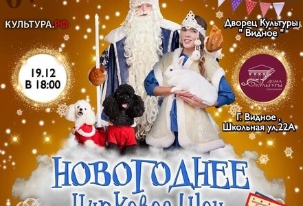 Новогоднее цирковое мыльное шоу в Видном