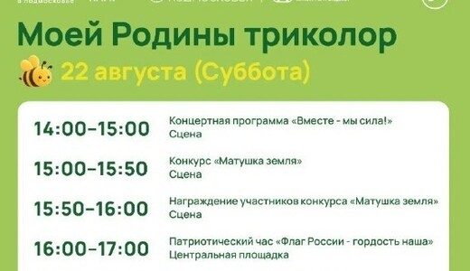Праздничное мероприятие «Моей Родины триколор» в Ивантеевке