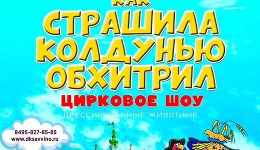 Цирковое шоу «Как Страшила колдунью обхитрил»