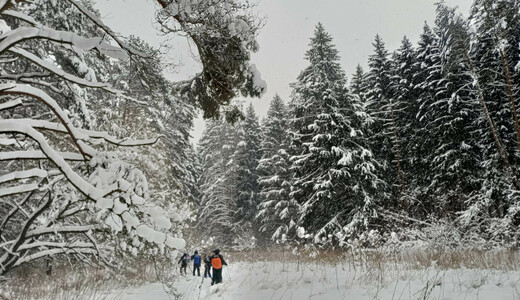Зимний лыжный поход «Степи Осетровья»