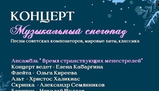 Концерт «Музыкальный снегопад» 