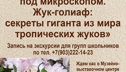 Экскурсия с мастер-классом «Тайны насекомых под микроскопом»