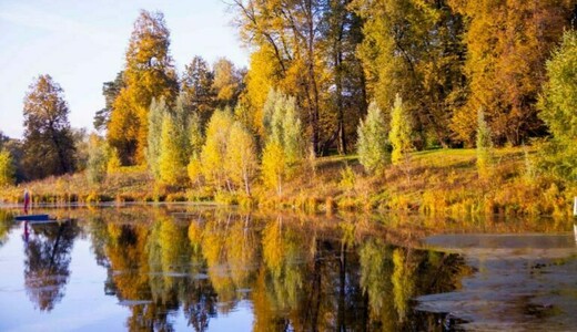 Концерт «Венский букет»