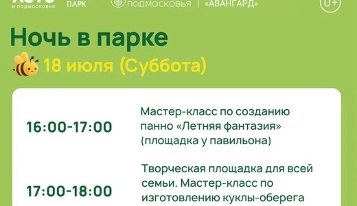«Ночь в парке» в Электростали
