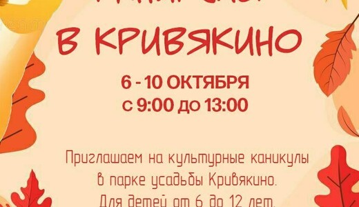 «Каникулы в Кривякино»