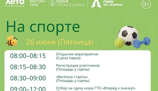Мероприятие «На спорте» в Шатуре