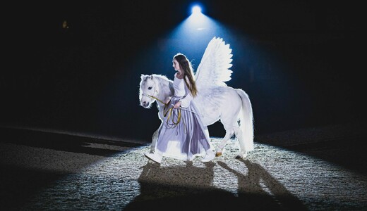 Конное шоу «Шедевры»