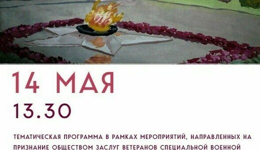 Тематическая программа «СВОя аллея героев» 