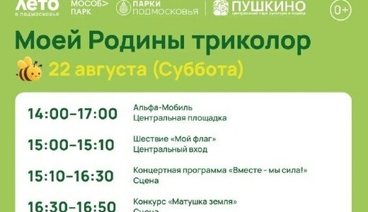 Праздничное мероприятие «Моей Родины триколор» в Пушкино