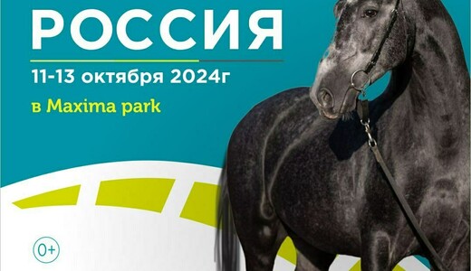 Международная выставка «Конная Россия 2024»