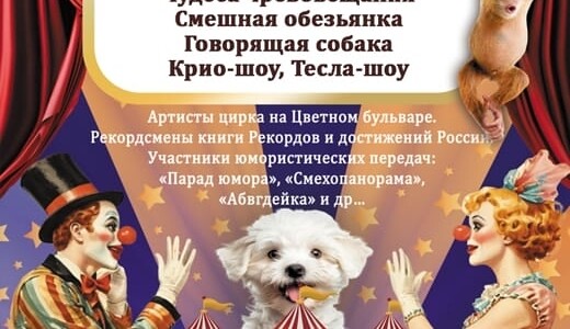 Цирковое шоу «Ухты-Пухты»