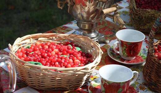 IV фестиваль народного творчества «Ягодка с кислинкой» 
