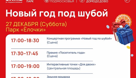 Праздничное мероприятие «Новый год под шубой» в Домодедове
