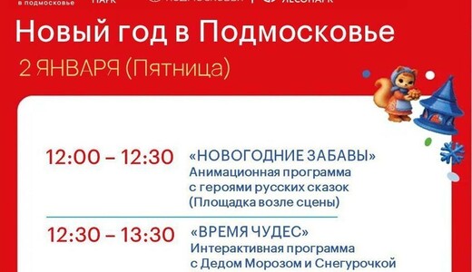 Мероприятие «Новый год в Подмосковье»