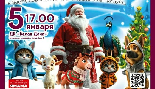 Новогоднее представление «Цирк Деда Мороза»