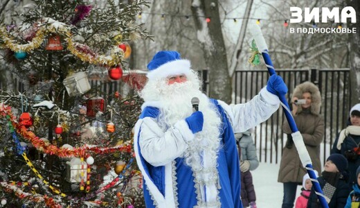 Новогоднее гулянье в Мелихове