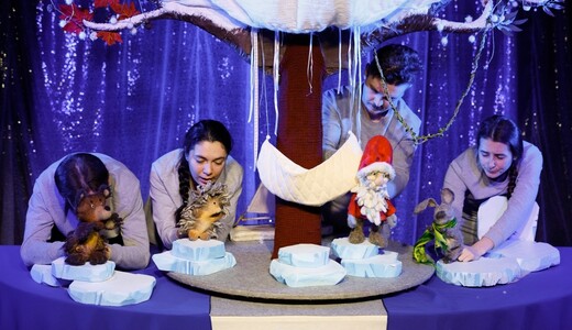 Новогодняя сказка «Как Дед Мороз зиму вернул»