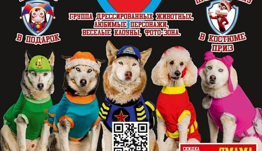 Шоу «Щенячий дозор» в Котельниках