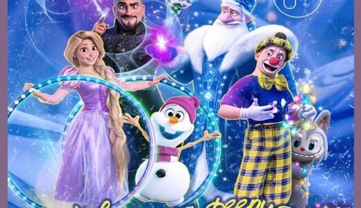 Цирковое представление «Новогодняя феерия»