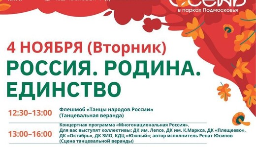 День народного единства в Подольске