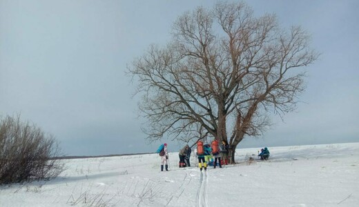 Зимние походы в турклубе «Ковчег»