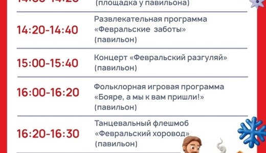 Мероприятие «Февральский снеговей» в Электростали