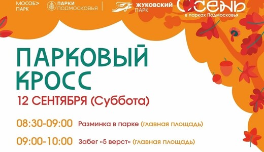 Мероприятие «Парковый кросс» в Жуковском
